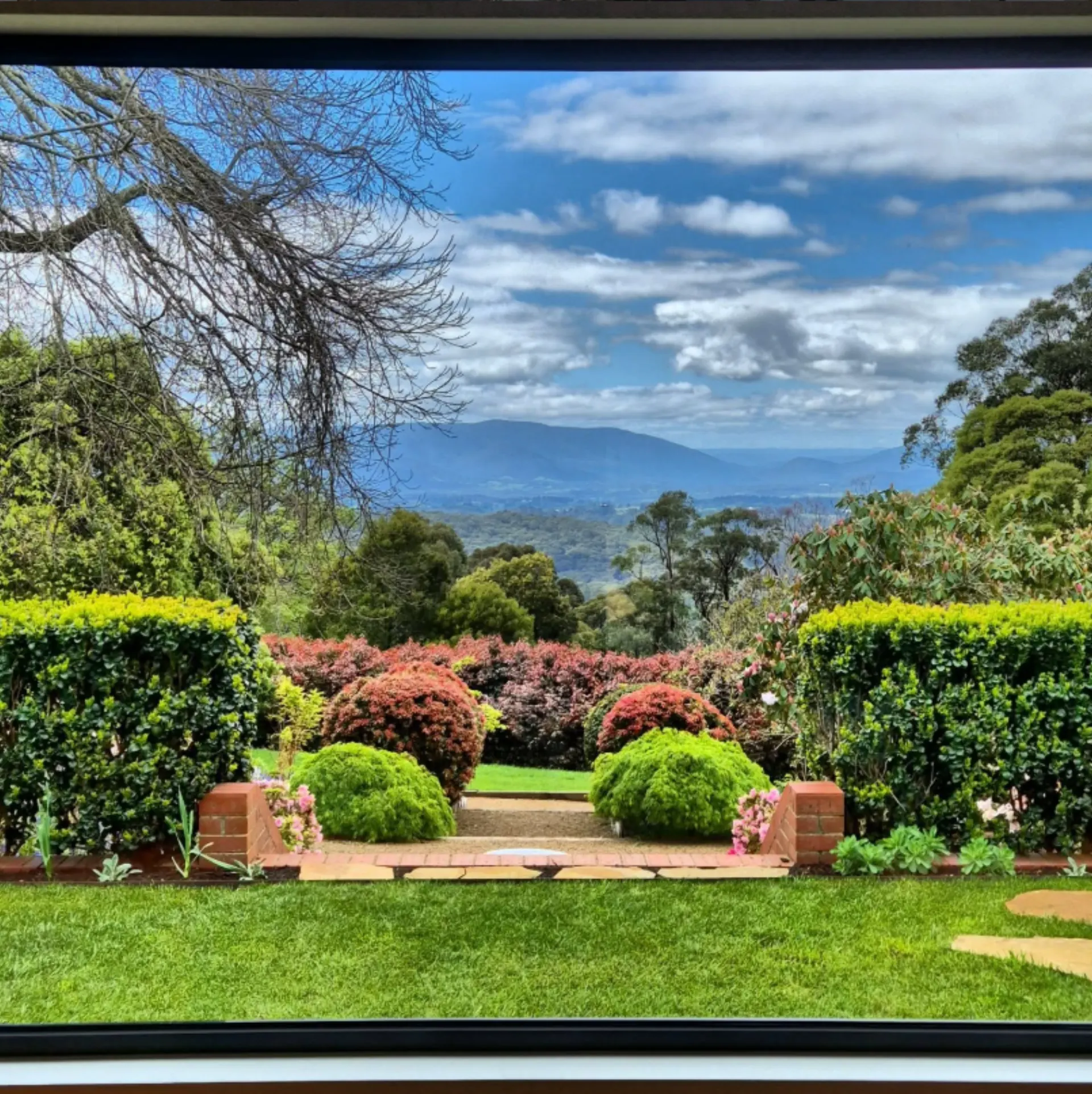 Spotless window framing a Dandenong Ranges view